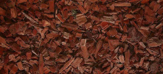 Choosing the Right Wood Chips for Your Garden