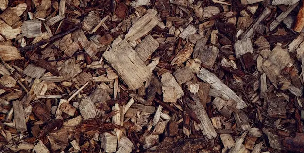 Softwood and Hardwood Wood Chips {area_2}
