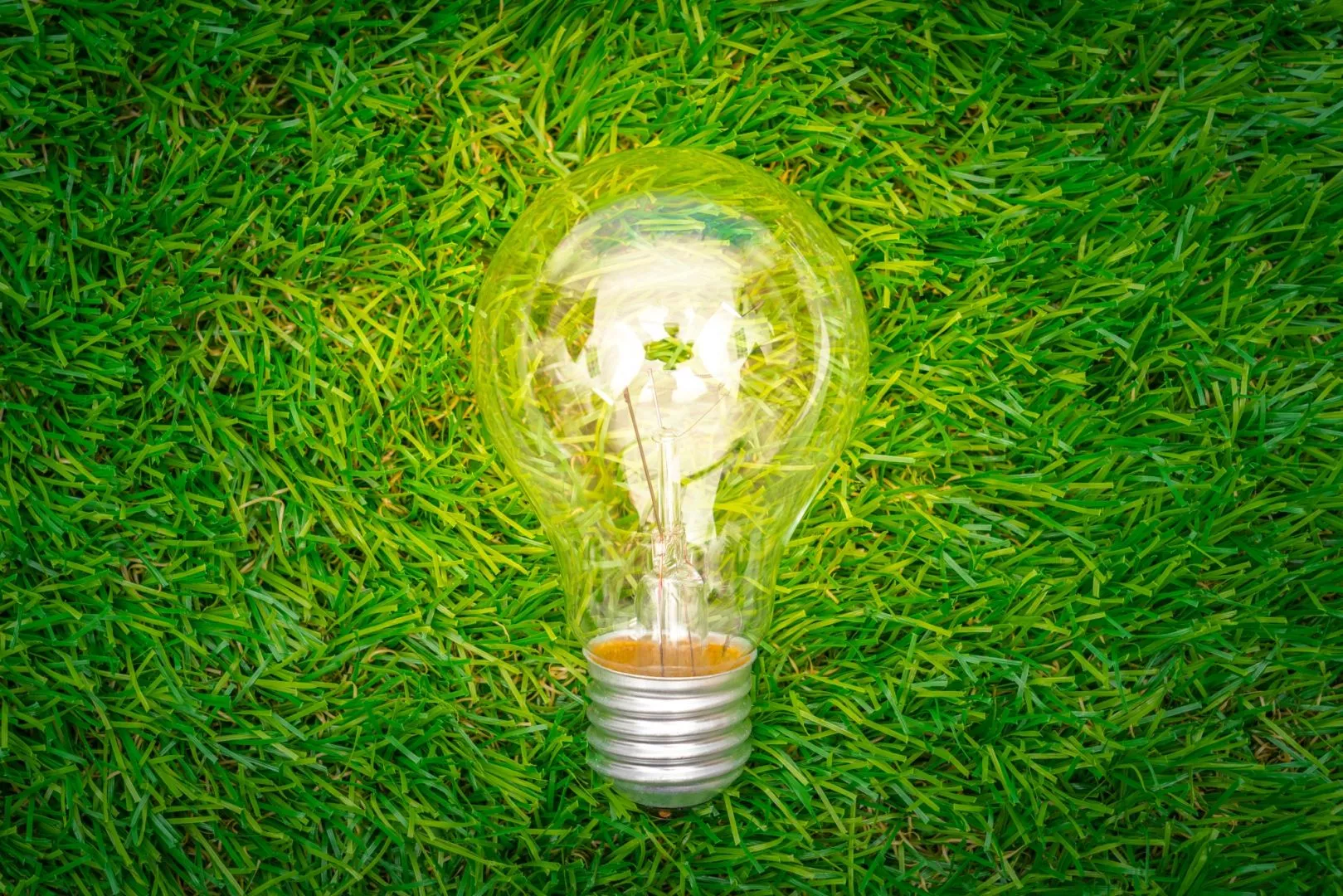 Are Biomass Boilers Worth It? Efficient Waste Management