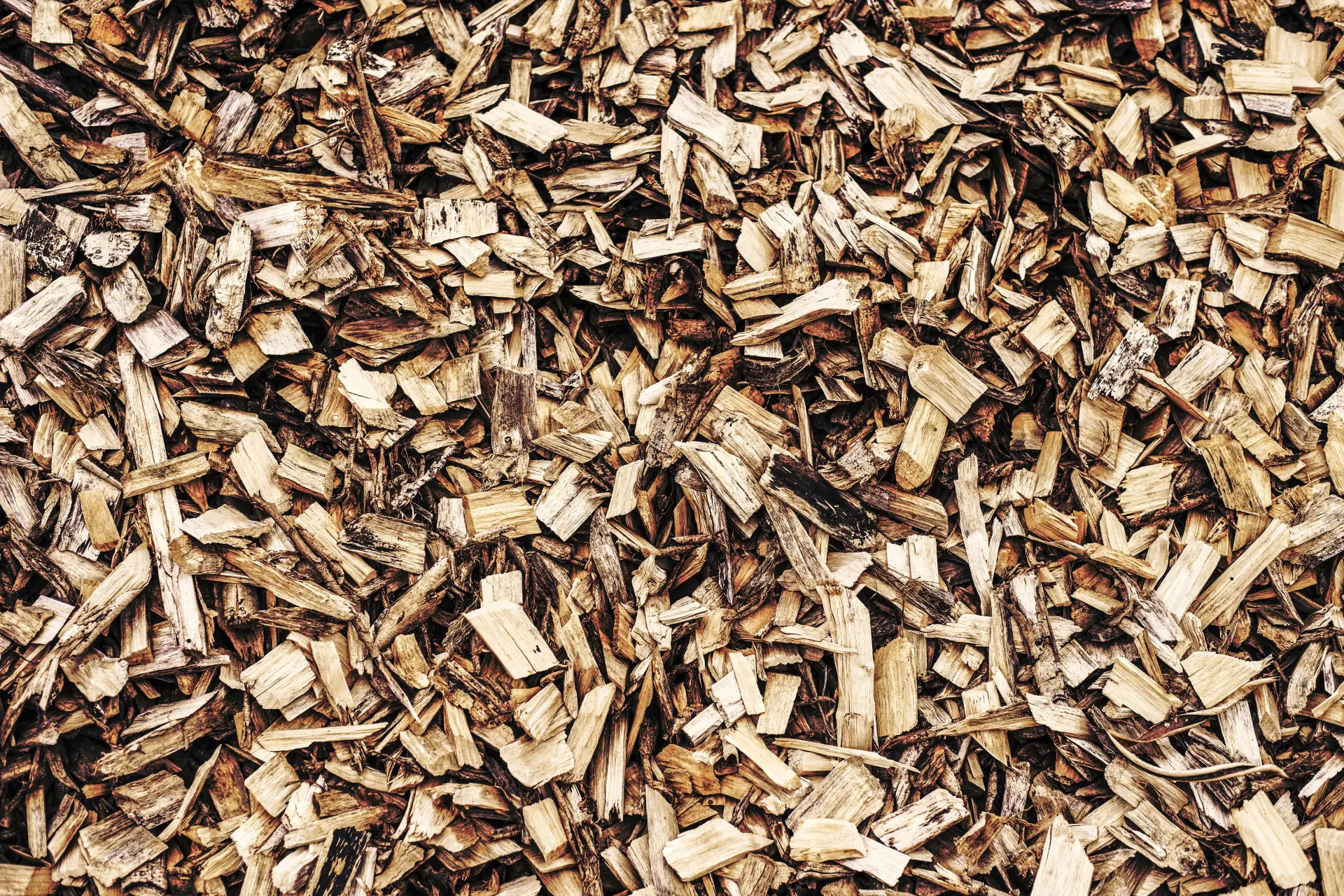 Biomass Wood Chip vs Other Renewable Fuels