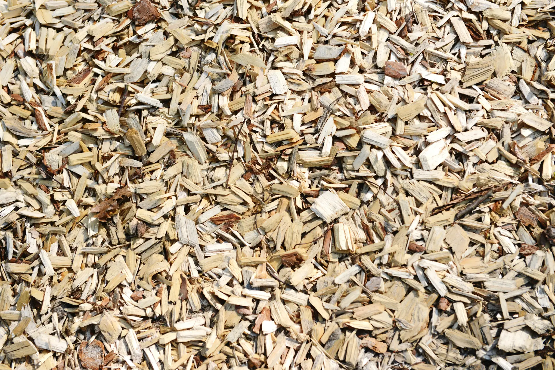 Biomass Wood Chip vs Other Renewable Fuels