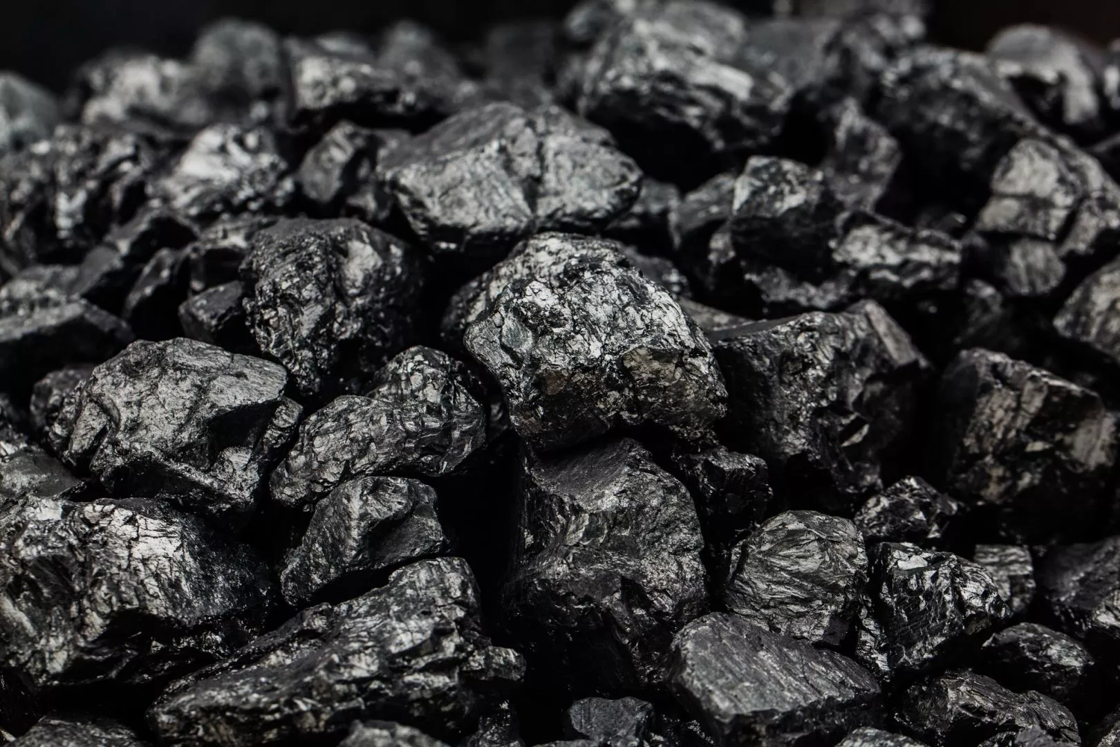 Are Biomass Boilers Worth It? Fossil Fuels