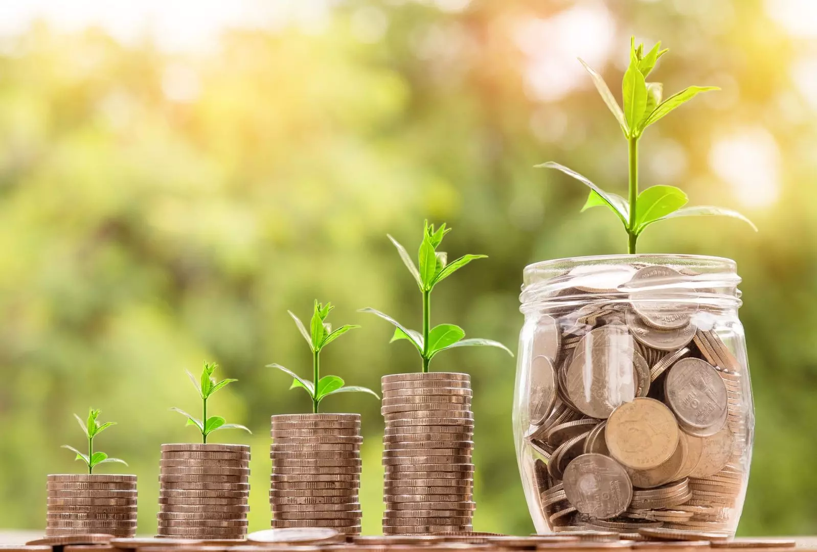 Are Biomass Boilers Worth It? Cheaper Than Conventional Fuel