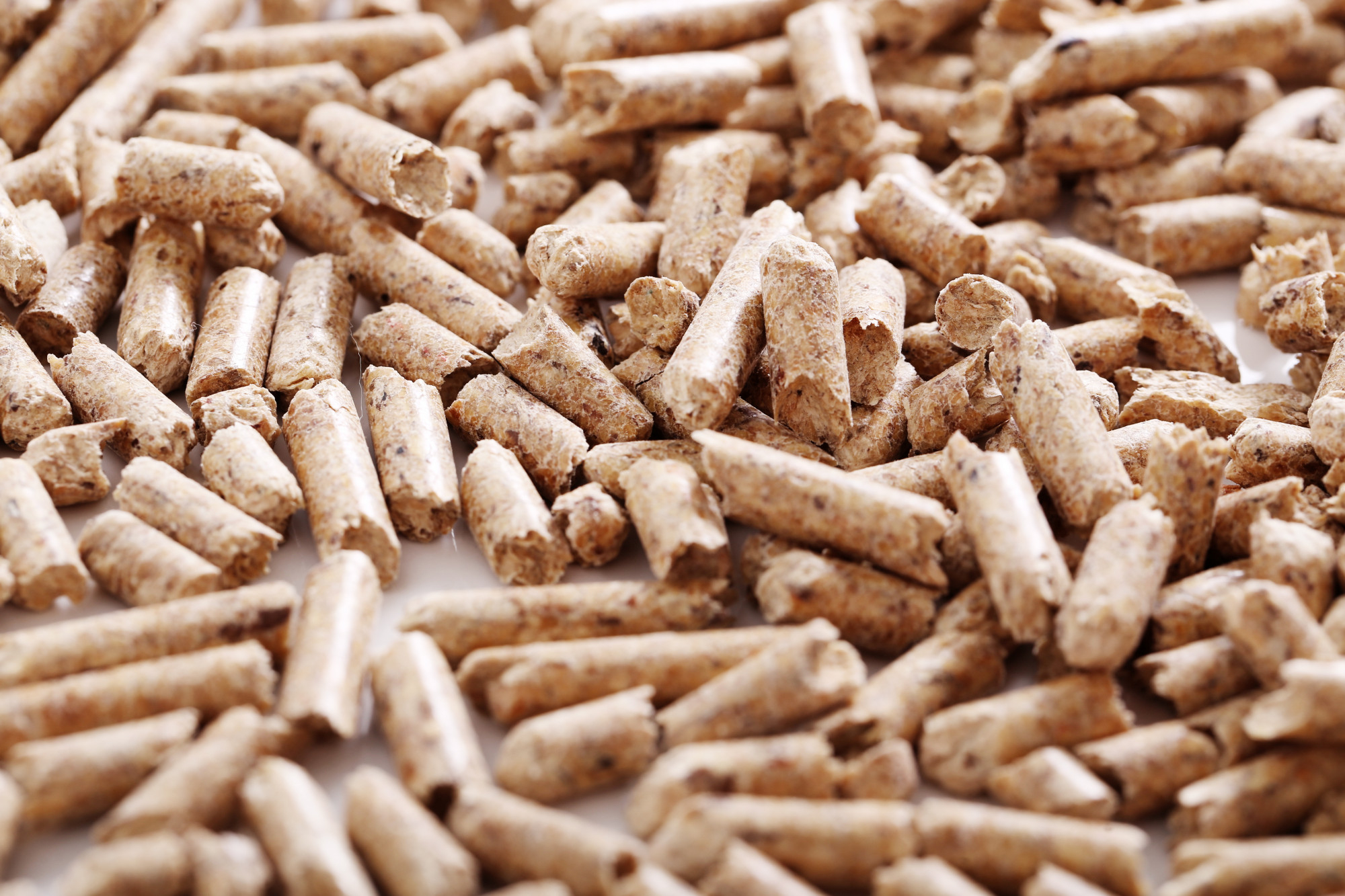 BIOMASS FUEL TYPES - WHICH IS BEST